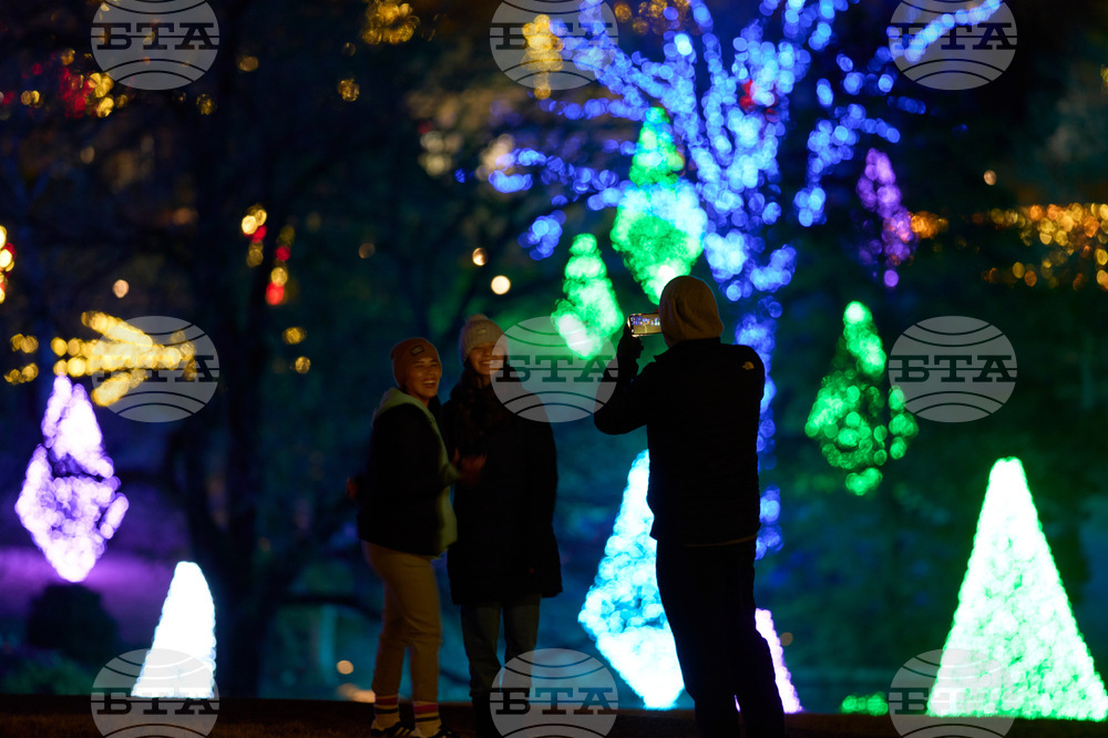 Tennessee Daily Life Holiday Lights