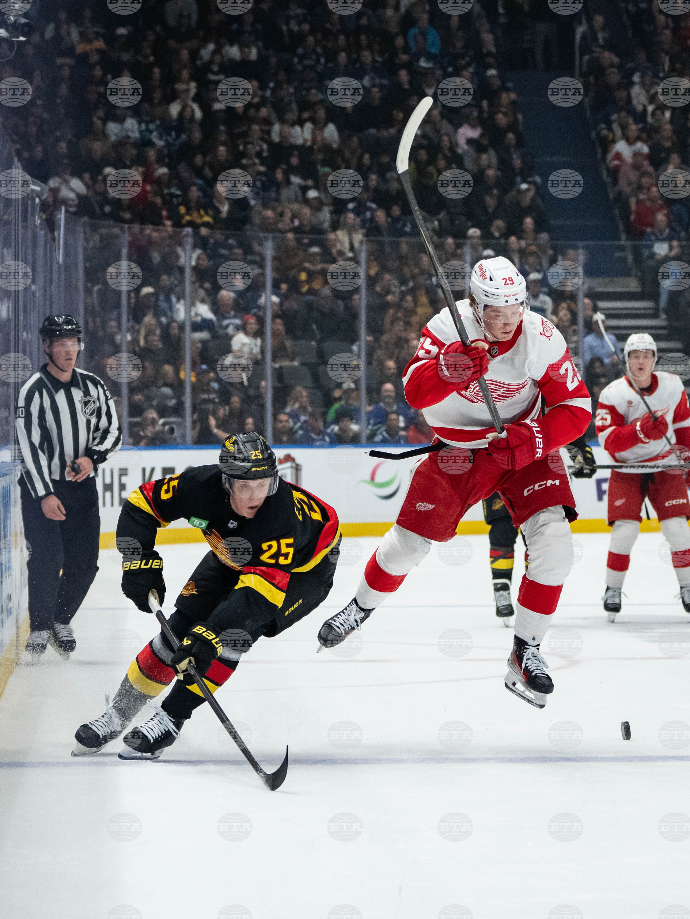 Red Wings Canucks Hockey