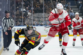 Red Wings Canucks Hockey