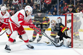 Red Wings Canucks Hockey