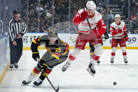 Red Wings Canucks Hockey