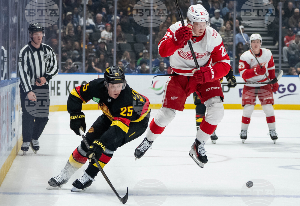 Red Wings Canucks Hockey