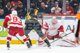 Red Wings Canucks Hockey