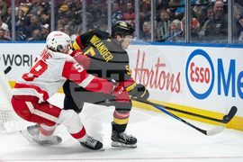 Red Wings Canucks Hockey