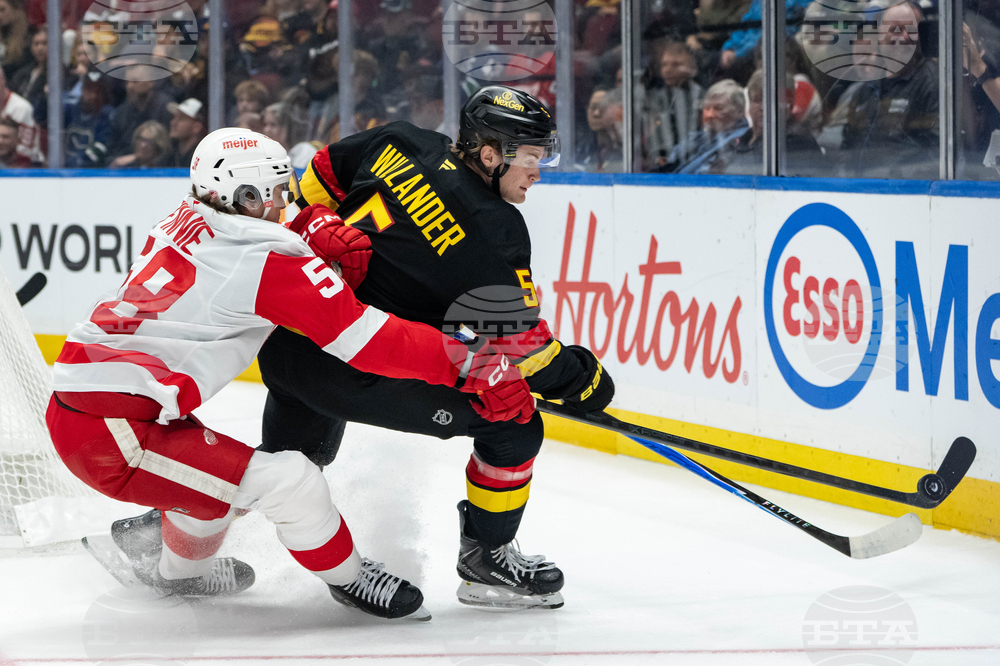 Red Wings Canucks Hockey