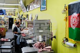 Immigration Afghan Arrests