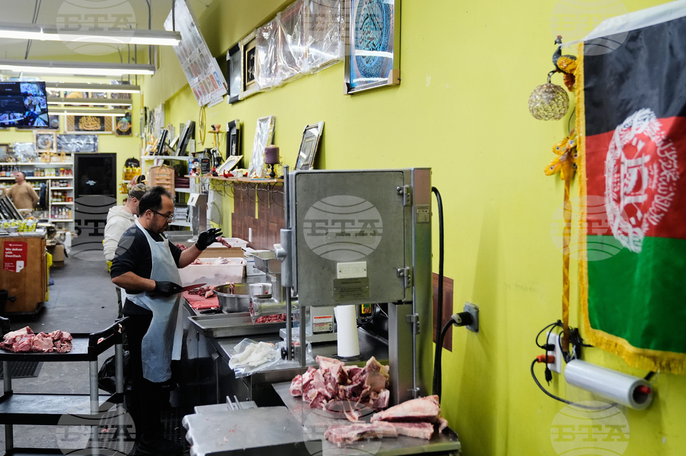 Immigration Afghan Arrests