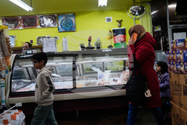 Immigration Afghan Arrests