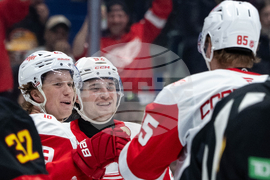 Red Wings Canucks Hockey