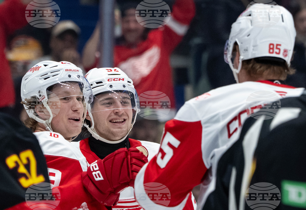 Red Wings Canucks Hockey