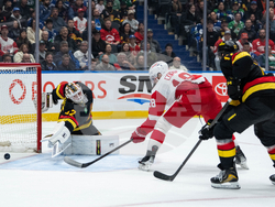 Red Wings Canucks Hockey