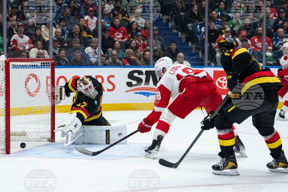 Red Wings Canucks Hockey