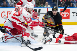 Red Wings Canucks Hockey