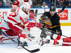 Red Wings Canucks Hockey