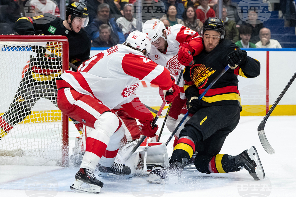 Red Wings Canucks Hockey