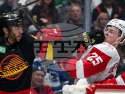 Red Wings Canucks Hockey