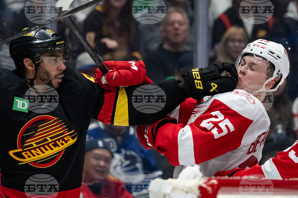 Red Wings Canucks Hockey