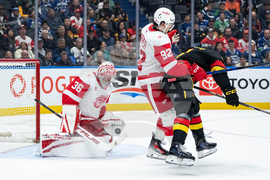 Red Wings Canucks Hockey