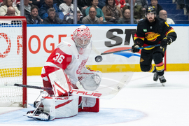 Red Wings Canucks Hockey