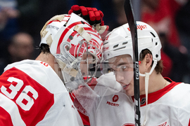 Red Wings Canucks Hockey