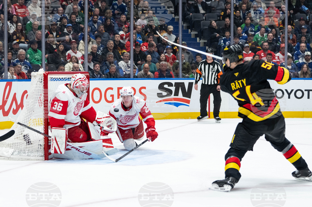Red Wings Canucks Hockey