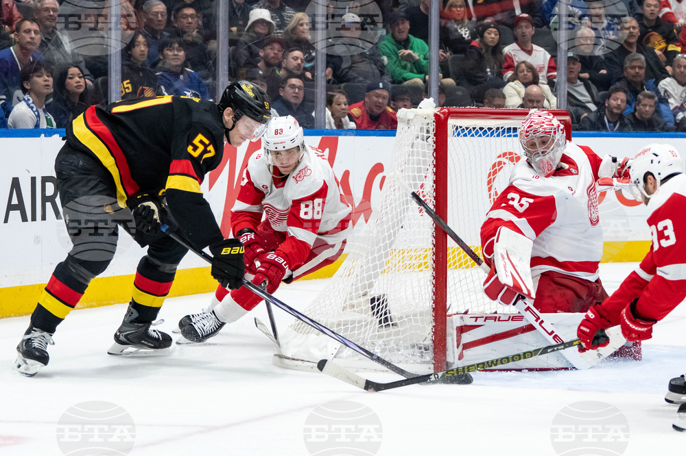 Red Wings Canucks Hockey