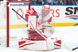 Red Wings Canucks Hockey