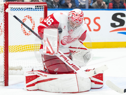 Red Wings Canucks Hockey