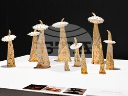 Снимка: Община Стара Загора