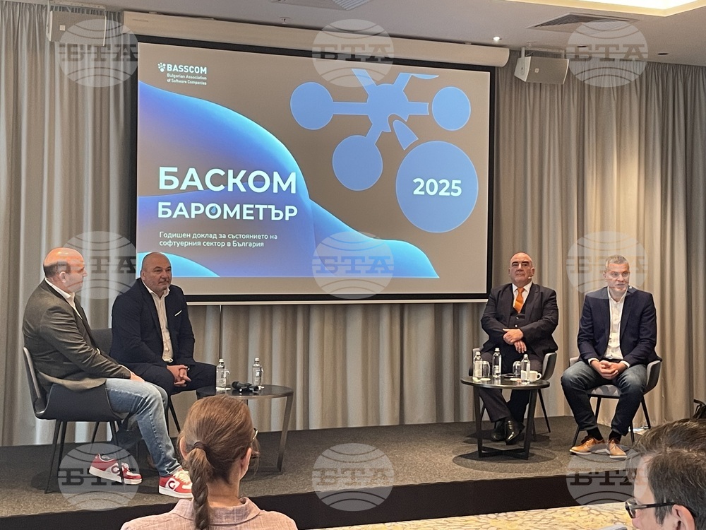 Software Sector in Bulgaria Reports 11.5% Revenue Growth in 2024