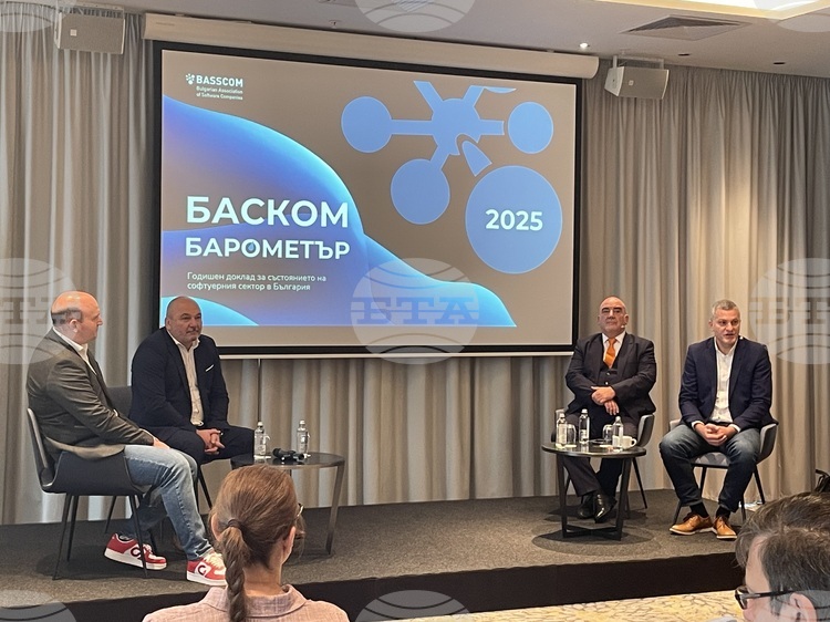 Software Sector in Bulgaria Reports 11.5% Revenue Growth in 2024