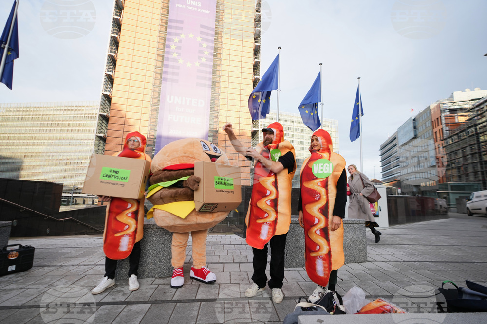 Belgium EU Regulations Burgers