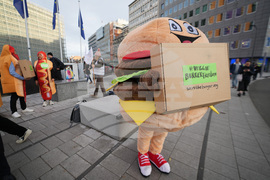 Belgium EU Regulations Burgers