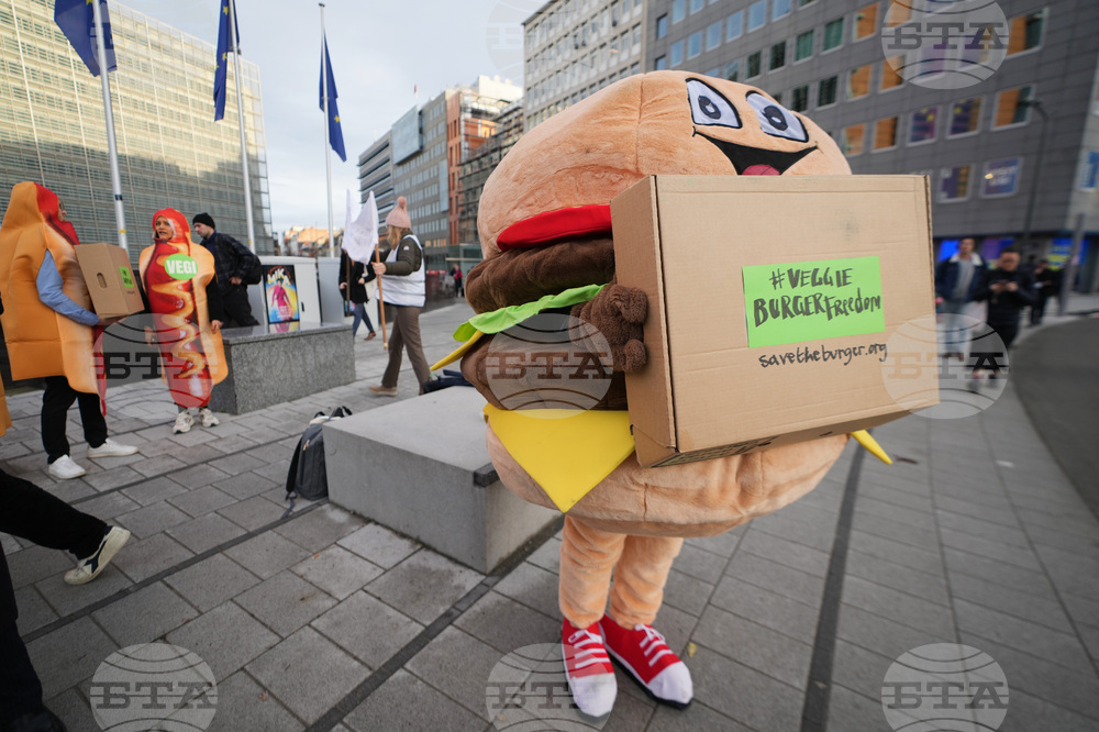 Belgium EU Regulations Burgers