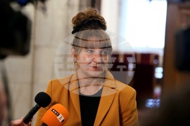 Парламент - Диана Георгиева - изявление