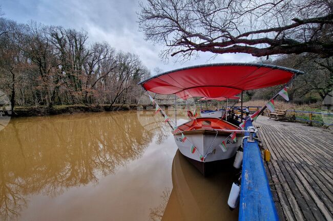 Приморско - река Ропотамо - обстановка