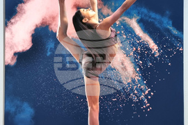 Българска федерация художествена гимнастика - благотворителен календар