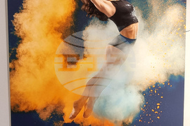 Българска федерация художествена гимнастика - благотворителен календар