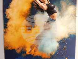 Българска федерация художествена гимнастика - благотворителен календар