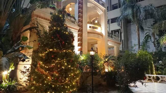 Посолството на България в Кайро ще бъде домакин на коледно парти на 17 декември 