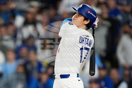 Ohtani Baseball