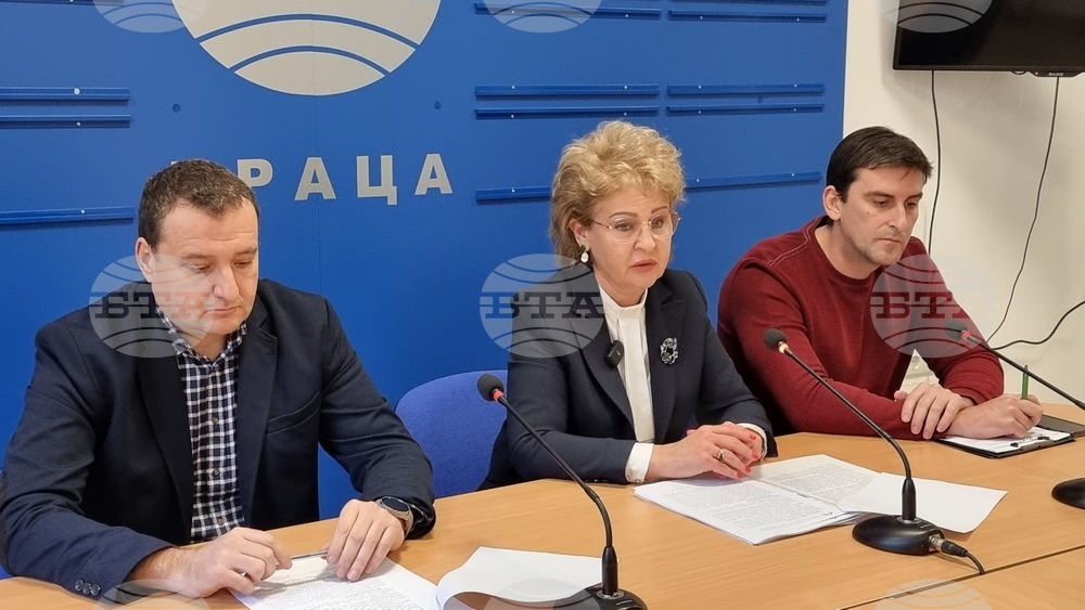 Спад на цените на дървесината за 2025 г. спрямо предходните две години, отчитат от Северозападното държавно предприятие Враца 