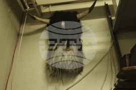 Троян - Музей на народните художествени занаяти - фондохранилища