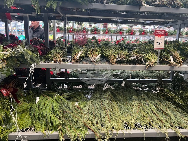 Gardening-Holiday Greenery