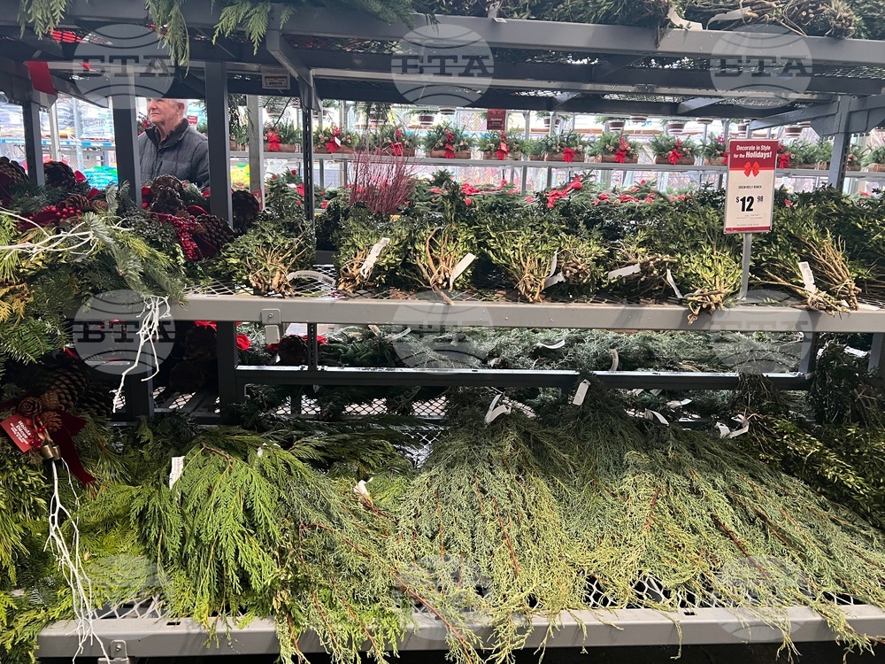 Gardening-Holiday Greenery