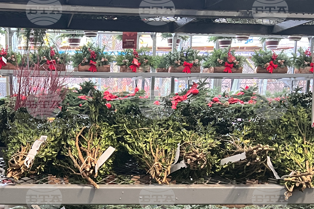 Gardening-Holiday Greenery