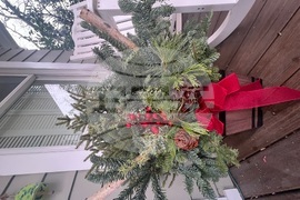 Gardening-Holiday Greenery
