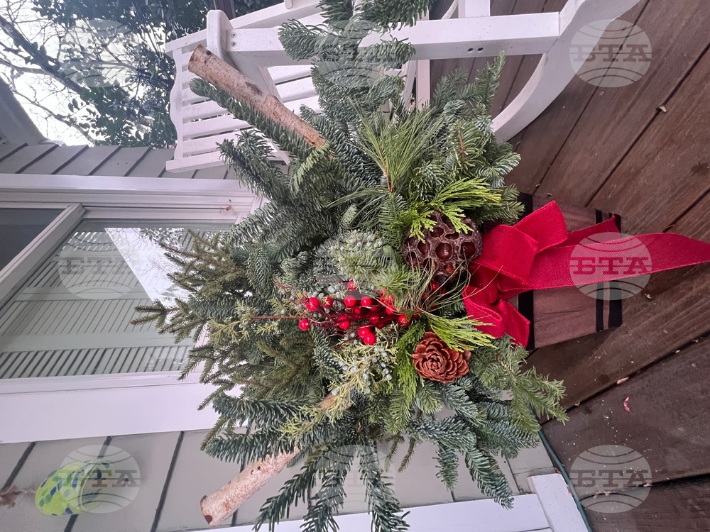 Gardening-Holiday Greenery