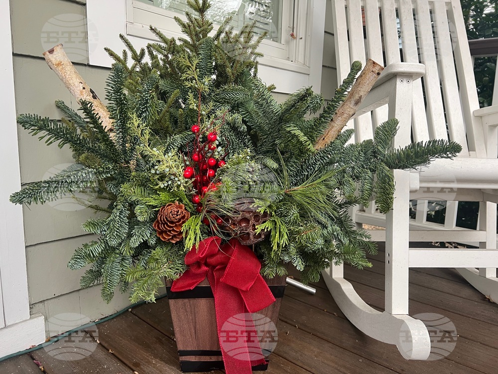 Gardening-Holiday Greenery