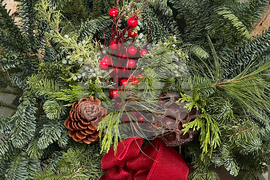 Gardening-Holiday Greenery